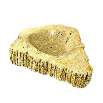 【中古】【輸入品・未使用】木の化石 灰皿 横幅約16cm 700g アジアン雑貨 バリ雑貨 並行輸入品 [並行輸入品]