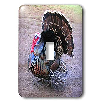 【中古】【輸入品・未使用】3drose LLC lsp _ 4042?_ 1?Wild Turkey Single切り替えスイッチ