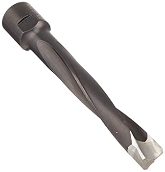 【中古】【インポート品・未当て嵌める】Festool 497869 10粍 Domino Cutter DF 700 by Tooltechnic Systems LLC [並行輸入品]