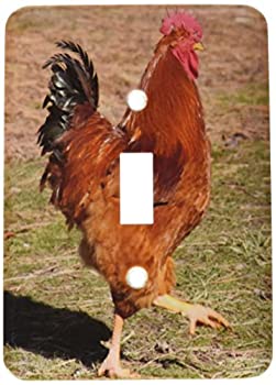 【中古】【輸入品・未使用】3drose LLC lsp _ 43994?_ 1レッドRooster Farm Animals Photography Single切り替えスイッチ