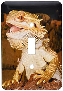 【中古】【輸入品・未使用】3drose LLC lsp _ 84029?_ 1?Bearded Dragon Lizard、ネイティブにAustraliam na02?dno0680?m David Northcott Single切り替えスイッチ