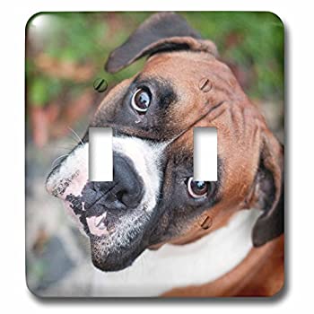 【中古】【輸入品・未使用】3drose LSP 155019?_ 2キュートボクサー犬Portrait Canineライトスイッチカバー｜ムジカ＆フェリーチェ店