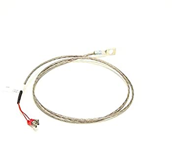 【中古】【インポート品・未当て嵌める】Accutemp at0e-3626???1検出器for Evolution