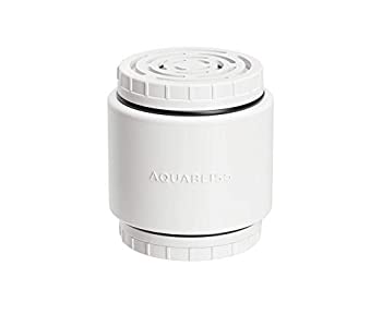 【中古】【輸入品・未使用】Rejuvia HD交換用フィルターカートリッジ｜ムジカ＆フェリーチェ店