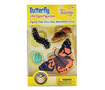 【中古】【輸入品・未使用】Life Cycle Stages-Butterfly (並行輸入品)