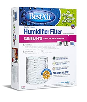 【中古】【インポート品・未当て嵌める】RPS Products%ｶﾝﾏ% Inc.H65-CHumidifier Filter-HUMIDIFIER WICK FILTER (並行輸入品)