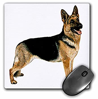 【中古】【輸入品・未使用】3Dローズ 犬 ジャーマン シェパード ‐ ジャーマン シェパード - マウス パッド - マウスパッド - mp_654_1 (並行輸入)|ムジカ&フェリーチェ店