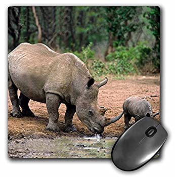 【中古】【輸入品・未使用】3Dローズ 野生動物 - 黒サイ、サイ - マウス パッド - マウスパッド - mp_1053_1 (並行輸入)