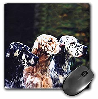 【中古】【輸入品・未使用】3Dローズ 犬 イングリッシュ セッター ‐ イングリッシュ セッター - マウス パッド - マウスパッド - mp_712_1 (並行輸入)