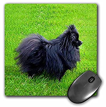 【中古】【輸入品・未使用】3Dローズ 犬 ポメラニアン - 黒ポメラニアン - マウス パッド - マウスパッド - mp_939_1 (並行輸入)|ムジカ&フェリーチェ店