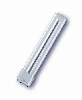 【中古】【インポート品・未当て嵌める】牡子ヒツジ DULUX L 18W/840