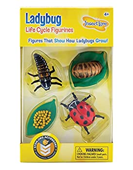 【中古】【輸入品・未使用】Life Cycle Stages -Ladybug (並行輸入品)