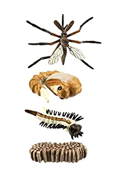【中古】【輸入品・未使用】[サファリ]Safari Ltd. Safariology: Life Cycle of a Mosquito 662616 [並行輸入品] 9,983円