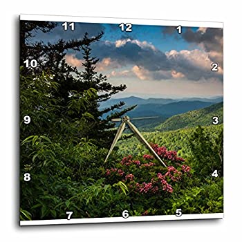 【中古】【インポート品・未当て嵌める】3dRose Mountain Laurel%ｶﾝﾏ% Beacon Heights%ｶﾝﾏ% Blue Ridge Parkway%ｶﾝﾏ% North Carolina - 飾り付け時辰儀%ｶﾝﾏ% 10 x 10in (DPP_209355_1) キッチン用品・食器・調理器具-その他