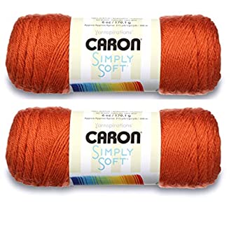 【中古】【輸入品・未使用】大量購入：Caron Simply Soft 糸 無地（2パック） 2-Pack 9702｜ムジカ＆フェリーチェ店