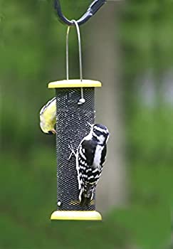 【中古】【輸入品・未使用】Birds Choice LCNYJER Yellow Metal Nyjer Feeder