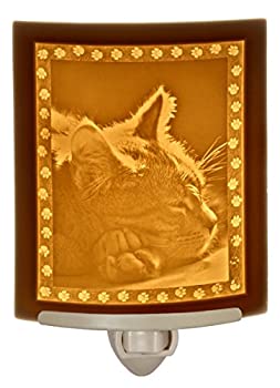 【中古】【輸入品・未使用】Kitten Dreams Night Light???GlowingイエローLithophane Sleeping Catイメージ???3?%ﾀﾞﾌﾞﾙｸｫｰﾃ% x 5?%ﾀﾞﾌﾞﾙｸｫｰﾃ% 18,743円