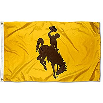 【中古】【輸入品・未使用】College Flags & Banners Co. ワイオミング ゴールドフラッグ