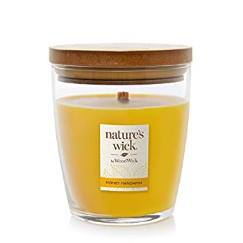 【中古】【輸入品・未使用】Nature's Wick ハニーマンダリンキャンドル