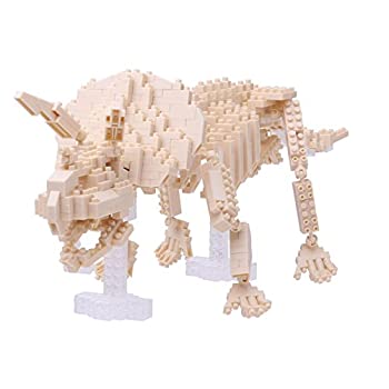 【中古-非常に良い】ナノブロック トリケラトプス骨格モデル NBM-017