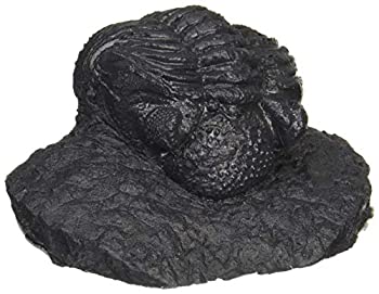 【中古-非常に良い】マスターピースモデル 1/1 トリロバイト 三葉虫 化石レプリカ レジンキット MSPMMDIN7036