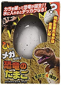 真瞳術　恐竜の卵16個 真瞳術様専用 恐竜の卵16個