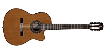 【中古】【輸入品・未使用】Alvarez アルバレス AC65HCE エレアコ アコースティックギター アコギ ギター (並行輸入)