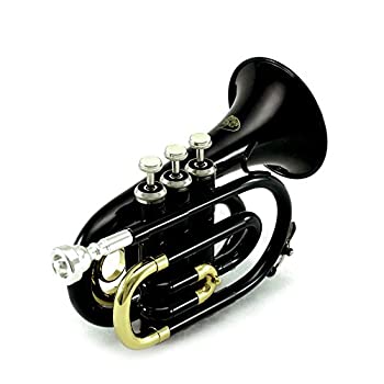 【中古】【輸入品・未使用】Bb Pocket Trumpet　Bb　ポケット　トランペット　Sky社　Black【並行輸入】