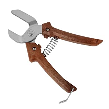 【未使用】【中古】渋木製作所 ステンレスぎんなん割り器 8,330円