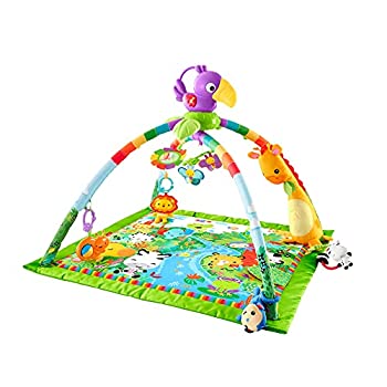 【中古】フィッシャー必要経費(fisher price) レインフォレスト・デラックスジムII 【0カ月~】【知育手あそび】【布手あそび】DFP08