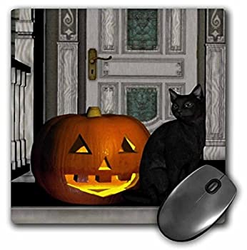 【中古】【輸入品・未使用】3dRose LLC 8 x 8 x 0.25 Inches Mouse Pad%カンマ% Black Cat with Jack O' Lantern (mp_28913_1) [並行輸入品]画像