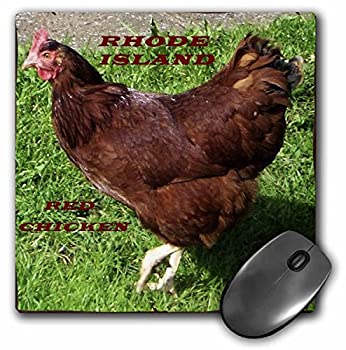 【中古】【輸入品・未使用】3dRose LLC 8 x 8 x 0.25 Inches State Bird of Rhode Island Red Chicken Pattern Mouse Pad (mp_50942_1) [並行輸入品]画像