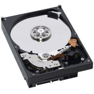 【中古】【輸入品・未使用】ibm- xseries storage 49y1866 rr 600gb sas 15000 rpm 6gb 3.5in hdd by Ibm [並行輸入品]