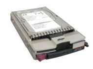 【中古】【インポート品・未当て嵌める】HP 364622-B23 HP HDD 300GB 10K RPM DP 2GB FC-AL (364622B23) by Compaq [並行輸入品]