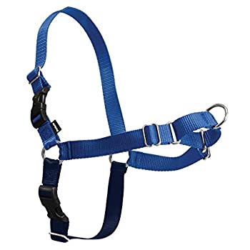 【中古】【輸入品・未使用】PetSafe イージーウォークハーネス 犬 ハーネス 中型犬 引っ張り防止 調整簡単 抜けない 耐久性が高い(M ロイヤルブルー&ネイビー)|ムジカ&フェリーチェ店
