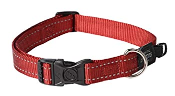 【中古】【輸入品・未使用】ログズユーティリティー ファンベルト犬用首輪、Lサイズ Red (並行輸入品)｜ムジカ＆フェリーチェ店