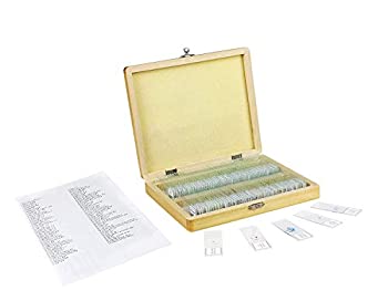 【中古】【インポート品・未当て嵌める】Vision Scientific VS100 横すべり仕掛ける 100個 準備すること済み硝子マイクロスコープ横すべり 原則として生物科学/科学の科目的適用業務 飛散押しとどめるボックス席 内部的パッド付き添い人