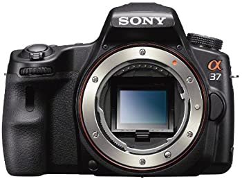 【中古】ソニー デジタル一眼カメラ「α37」ボディSONY α37 SLT-A37|ムジカ&フェリーチェ店