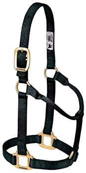 【中古】【輸入品・未使用】Weaver Leather ホルター 調節不可 Yearling Horse