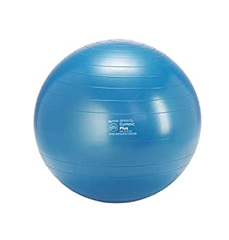 【中古】【輸入品・未使用】ギムニク(GYMNIC) PLUS65 ブルー