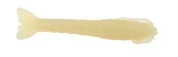 【中古】【輸入品・未使用】(バークレイ) Berkley Gulp! 海水用エビ 2 Inch|ムジカ&フェリーチェ店