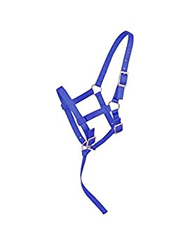 【中古】【インポート品・未当て嵌める】(Suckling%ｶﾝﾏ% Royal Blue) - Tough-1 Nylon Foal Halter