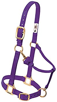 【中古】【輸入品・未使用】(2.5cm Small Horse%ｶﾝﾏ% Purple) - Weaver Leather Adjustable Horse Halter