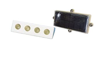 【中古】【輸入品・未使用】ドックエッジ太陽ドックボックスライト