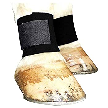 【中古】【輸入品・未使用】Intrepid International ネオプレン アンクルラップ