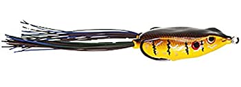 【中古】【輸入品・未使用】Bronzeye Jr. #26 Red Ear｜ムジカ＆フェリーチェ店