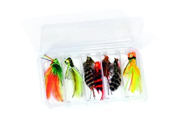 【中古】【インポート品・未当て嵌める】Bass Fly Fishing Flies Kit - Dave Whitlock - Collection of 7 Flies