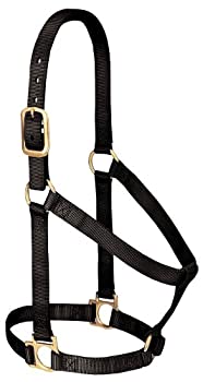 【中古】【インポート品・未当てはめる】(Average Horse%ｶﾝﾏ% Turquoise) - Weaver Leather 35-7404-TU Basic Non-Adjustable Halter%ｶﾝﾏ% 2.5糎 Small Horse%ｶﾝﾏ% Turquoise