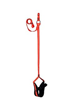 【中古】【輸入品・未使用】Weaver Arborist アセンダー フットループ