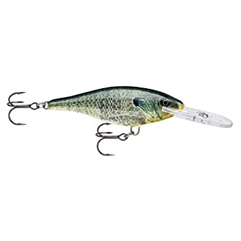 【中古】【インポート品・未当てはめる】Rapala シャッドラップ 07 Live Bluegill ルアー マルチ 一大きさ (SR07BGL)